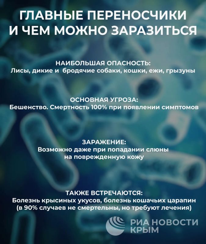 Что делать, если укусило дикое животное? Что делать, если укусило дикое животное?