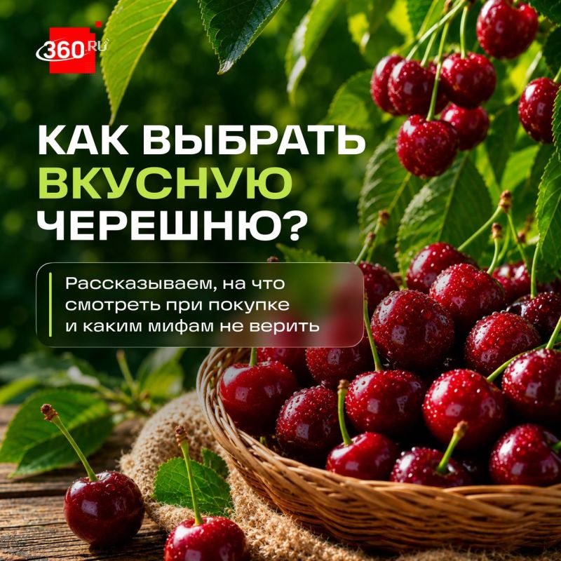 Как не ошибиться при покупке черешни?