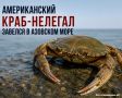 �������� ����� ��������: ������������ ����-������� ������� � �������� ����