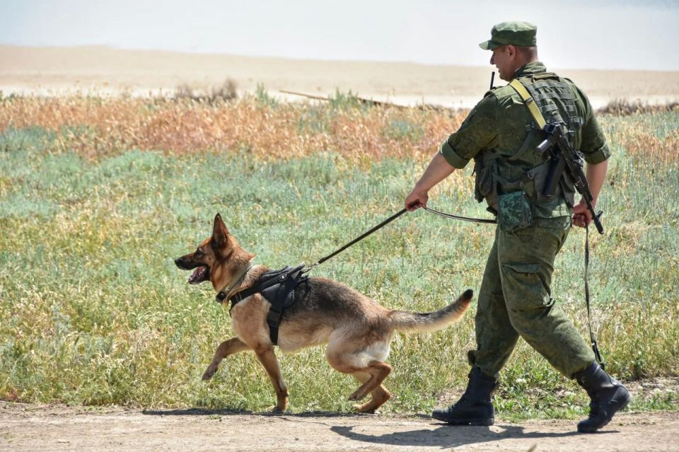 Власти Крыма поздравили пограничников с профессиональным праздником Власти Крыма поздравили пограничников с профессиональным праздником