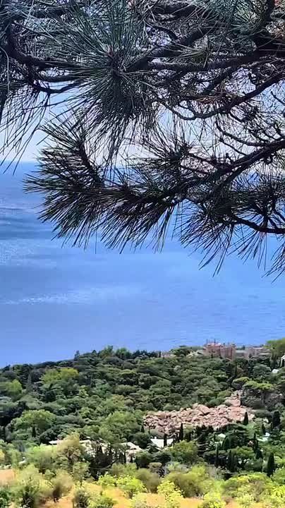 Весна нежно пробуждает Южное побережье Крыма ( Россия), где природа оживает в хаотичном танце после зимнего сна