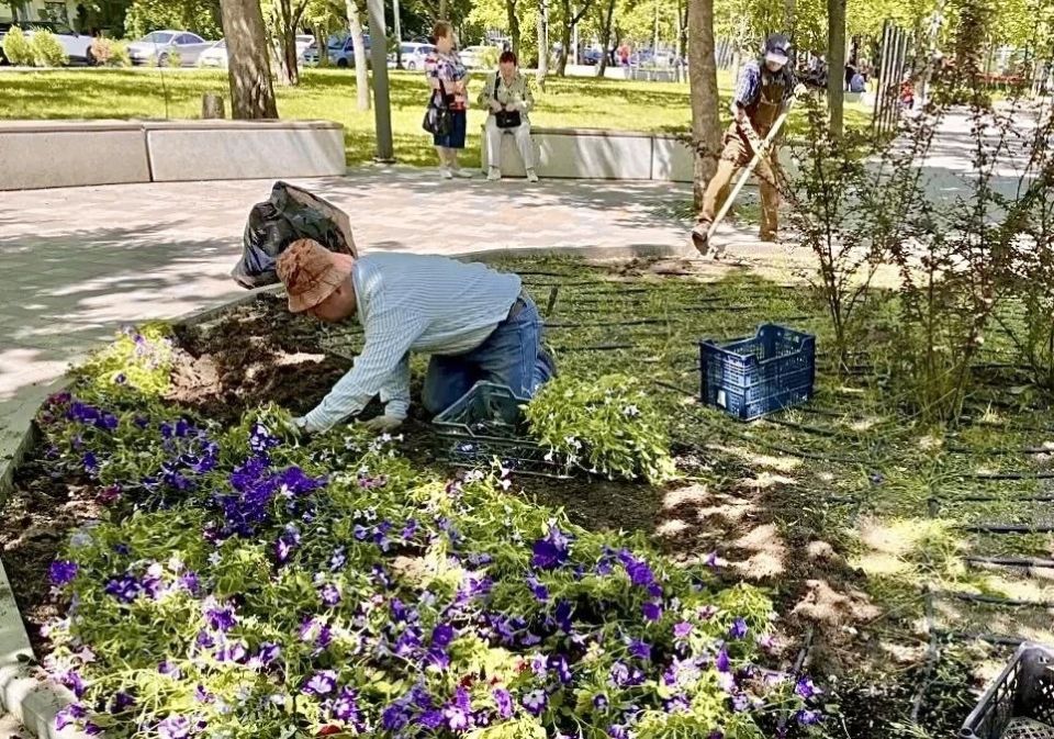 Более двух тысяч ярких петуний украсили симферопольский сквер 50-летия СССР, сообщили в учреждении «Парки столицы» и поделились фото Более двух тысяч ярких петуний украсили симферопольский сквер 50-летия СССР, сообщили в учреждении «Парки столицы» и поделились фото