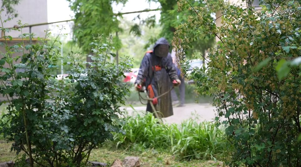 В любую погоду в Керчи ведется работа по уходу за газонами и зелеными насаждениями на муниципальных территориях В любую погоду в Керчи ведется работа по уходу за газонами и зелеными насаждениями на муниципальных территориях