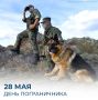 ������ ���������: ������� �� �������� 108-� ��������� ����������� ����������� ����� ����� ������