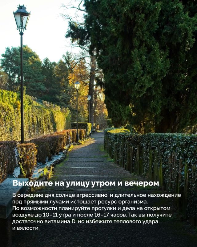 Переход от весны к лету часто бывает резким Переход от весны к лету часто бывает резким