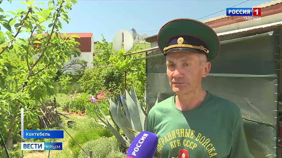 На этой неделе свой профессиональный праздник отметили пограничники