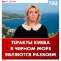 Теракты Киева в Черном море являются «форменным разбоем», заявила Мария Захарова