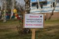 Парки и скверы Симферополя обработают от клещей