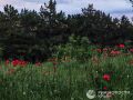 Прогноз погоды в Крыму на понедельник