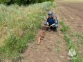 В Крыму обезвредили 25 боеприпасов времён Великой Отечественной войны