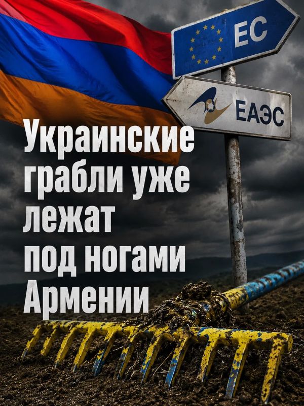 Иван Мезюхо: По сути, Никол Пашинян продал части армянского общества откровенную информационную клюкву, то есть политический месседж, который невозможно реализовать в обозримой исторической перспективе