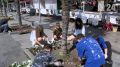 Дети из пришкольного лагеря Ялты высадили цветы на набережной города