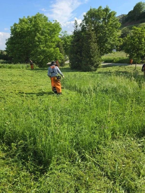Сотрудники МБУ «Город» ежедневно проводят работы по покосу травы на территории Симферополя
