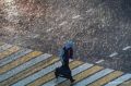 Грозы и дожди ожидаются в Крыму на День России