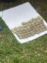 Полицейскими Керчи предъявлено обвинение семейной паре за распространение крупной партии наркотиков