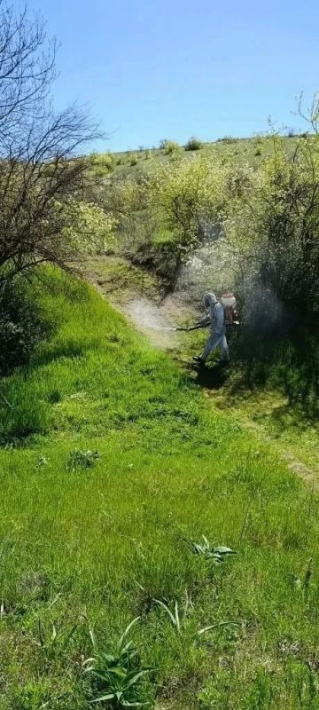 В Крыму экскурсионные экологические маршруты обрабатывают от клещей В Крыму экскурсионные экологические маршруты обрабатывают от клещей