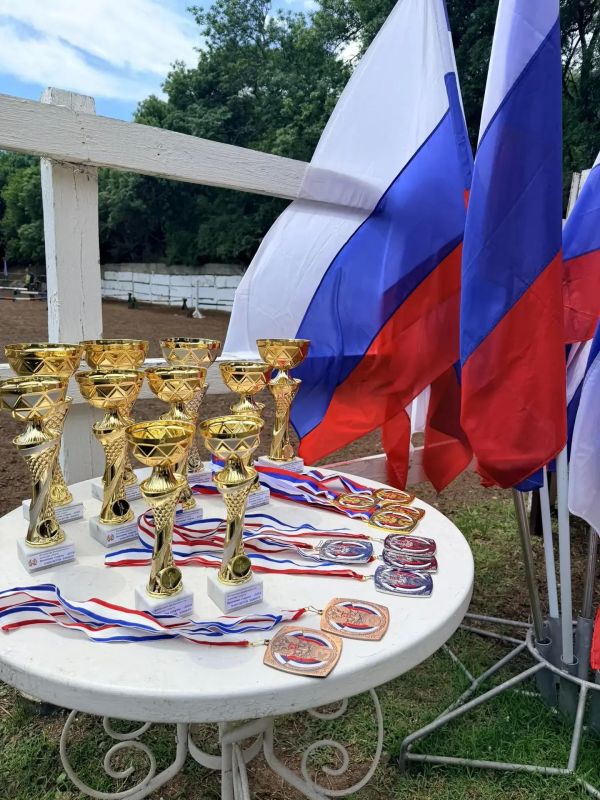 Сила, грация, характер: Ялтинская федерация конного спорта провела дебютные состязания Сила, грация, характер: Ялтинская федерация конного спорта провела дебютные состязания