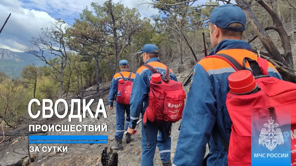 #ЧТОВЧЕРАПРОИЗОШЛО. За минувшие сутки пожарно-спасательные подразделения ГУ МЧС России по Республике Крым реагировали на: 2 пожара, связанных с возгоранием сухой растительности
