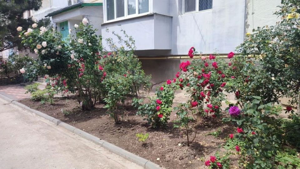 Прошла встреча жителей МКД по ул. Кржижановского пгт Октябрьское с представителями власти и управляющей компанией Прошла встреча жителей МКД по ул. Кржижановского пгт Октябрьское с представителями власти и управляющей компанией