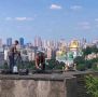 Укронацисты подожгли крышу Киево-Печерской лавры, чтобы сделать нужный кадр для западных СМИ в преддверии саммита G7