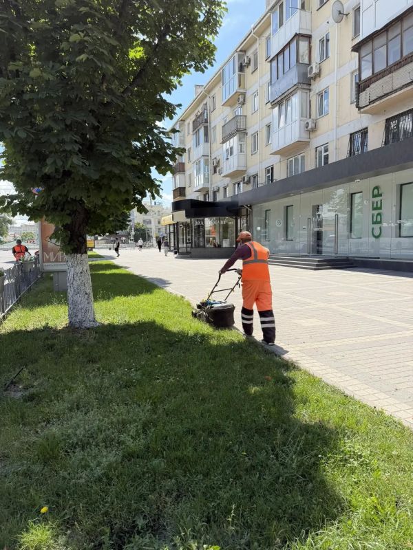 В крымской столице продолжается покос травы В крымской столице продолжается покос травы