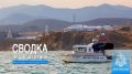 #ЧТОВЧЕРАПРОИЗОШЛО. За минувшие сутки пожарно-спасательные подразделения ГУ МЧС России по Республике Крым реагировали на: 9 пожаров, из них: