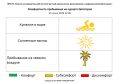 15.06.2026 г. комфортность пребывания на Евпаторийском курорте по данным ГБУЗ РК «НИИ ДКФиМР» составляет