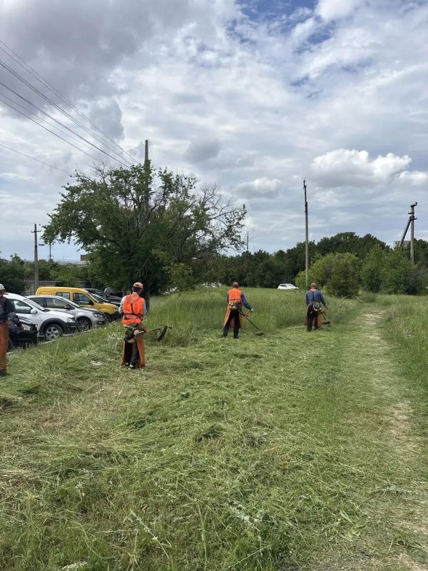 В крымской столице продолжается покос травы В крымской столице продолжается покос травы