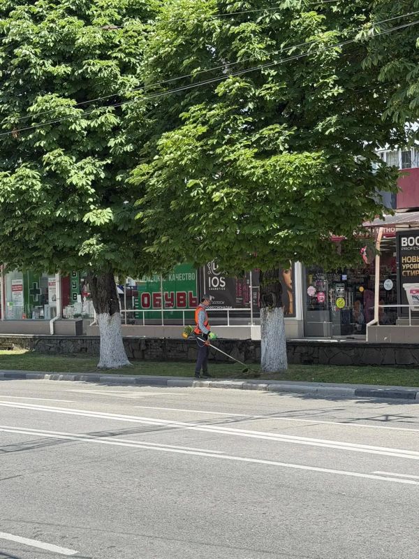 В крымской столице продолжается покос травы В крымской столице продолжается покос травы