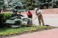 Иван Кошель: Озеленители ежедневно следят за состоянием зеленых насаждений в городе