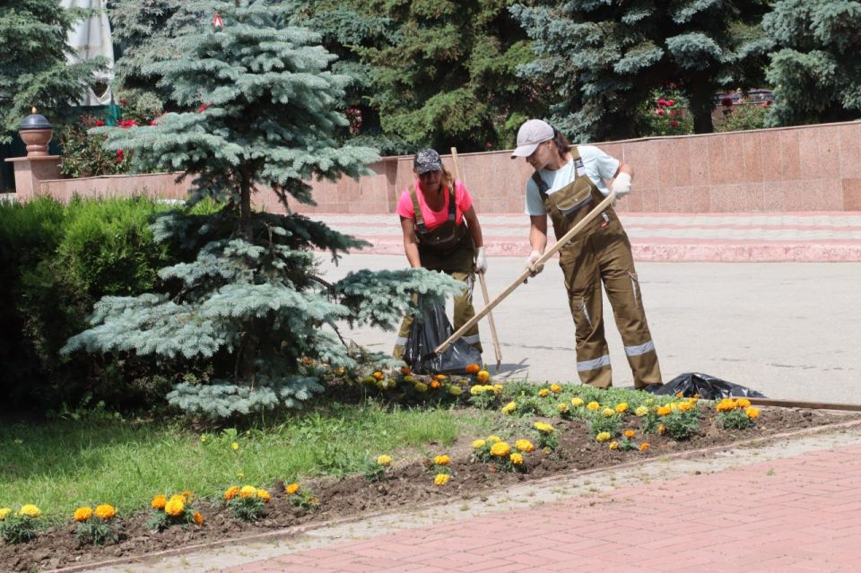 Иван Кошель: Озеленители ежедневно следят за состоянием зеленых насаждений в городе