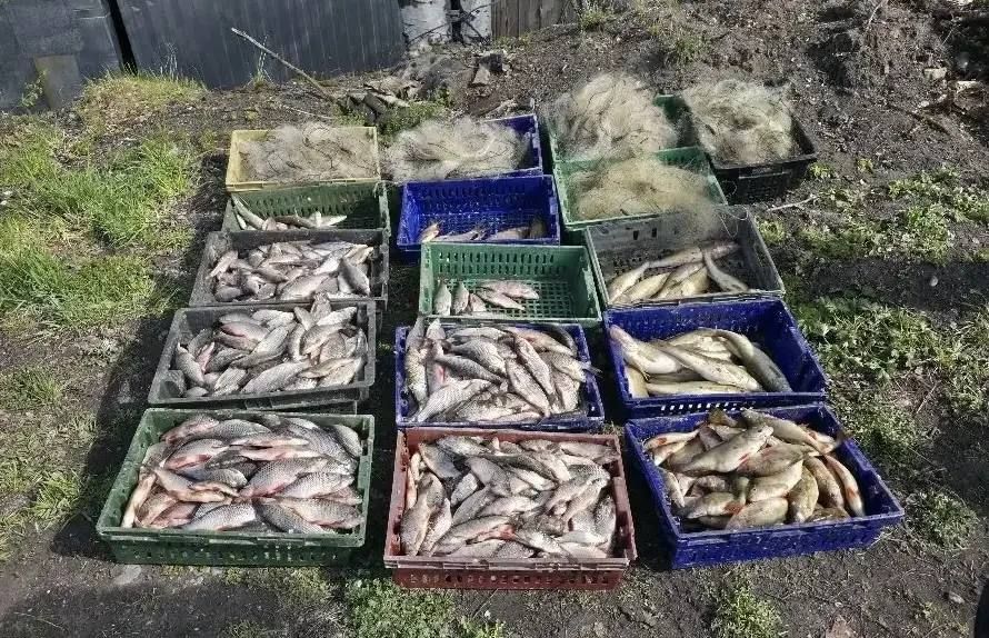 В Белозерском округе Вологодской области сотрудники транспортной полиции пресекли незаконный лов рыбы В Белозерском округе Вологодской области сотрудники транспортной полиции пресекли незаконный лов рыбы