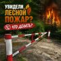 Сейчас лето и очень хочется выйти на прогулку в лес