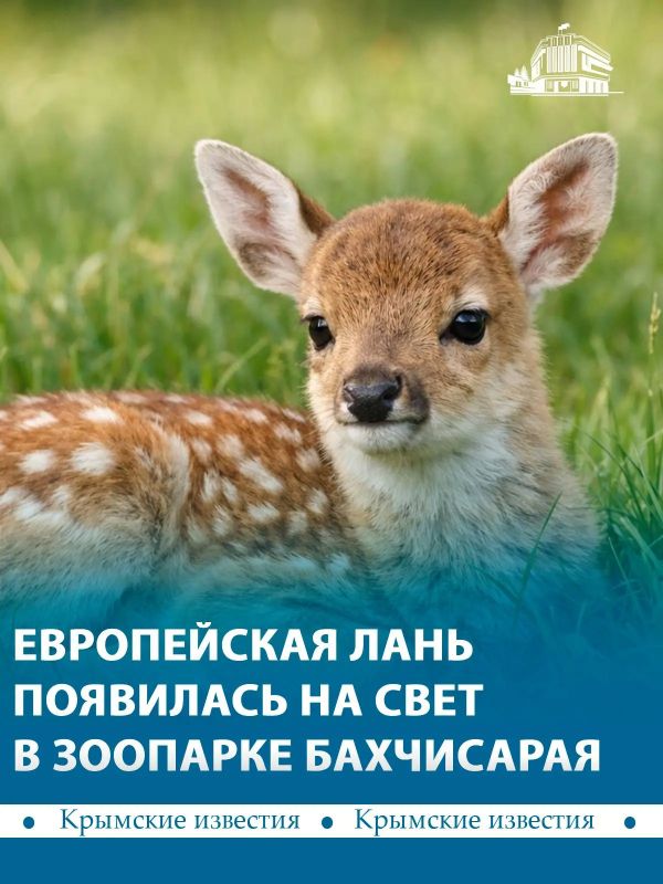 Первый детёныш появился у европейских ланей в Бахчисарайском зоопарке