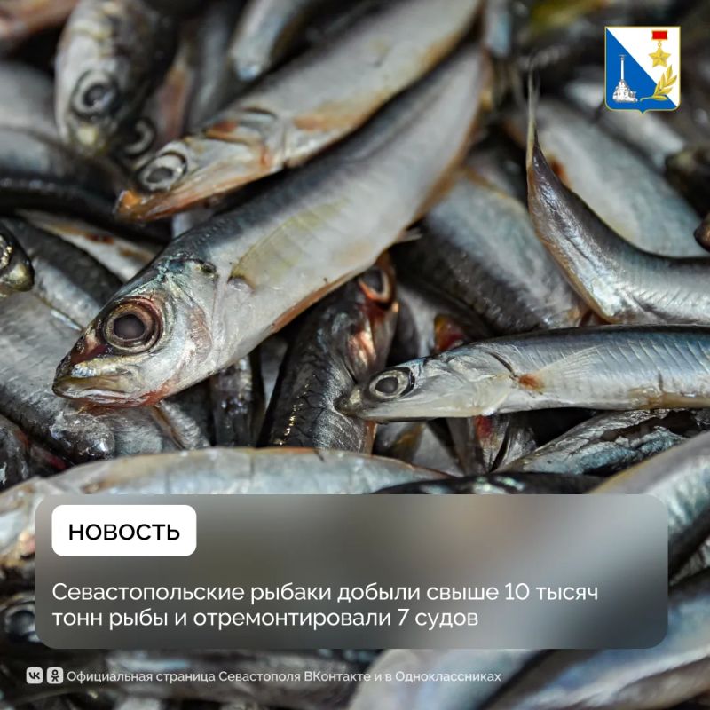 Более 10 тысяч тонн выловленной рыбы и семь отремонтированных судов — результат господдержки севастопольских рыбаков