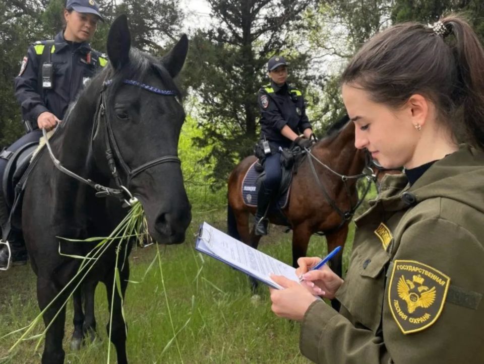 С 18 по 20 июня в лесах Севастополя действует четвёртый класс пожарной опасности С 18 по 20 июня в лесах Севастополя действует четвёртый класс пожарной опасности
