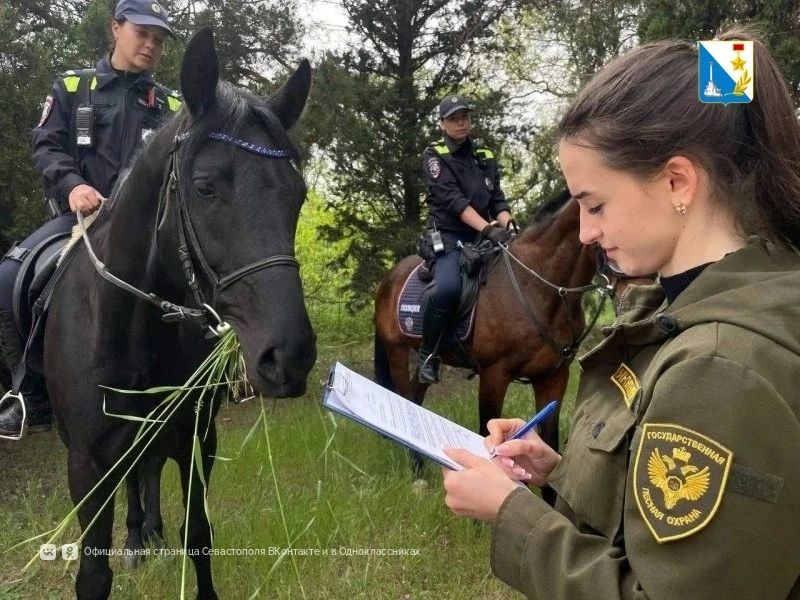 В лесах Севастополя инспекторы проводят рейды почти в два раза чаще В лесах Севастополя инспекторы проводят рейды почти в два раза чаще