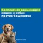 19 июня с 10:00 до 16:00 сотрудники ГБУ «Евпаторийского городского ВЛПЦ» будут проводить бесплатную вакцинацию собак и кошек против бешенства в СНТ «Садовод»
