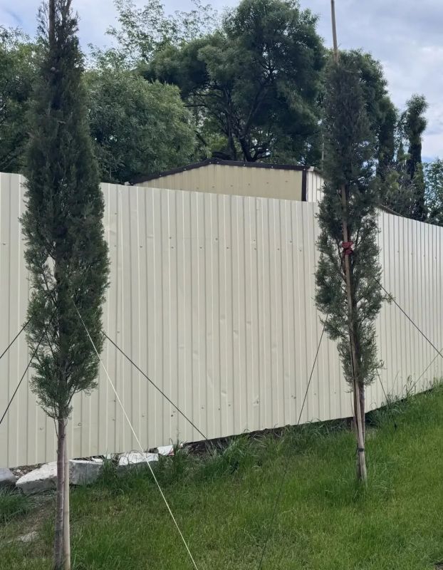Мы неоднократно рассказывали вам о компенсационных высадках Мы неоднократно рассказывали вам о компенсационных высадках