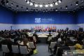 Россия и страны АСЕАН приняли план действий по стратегическому партнерству