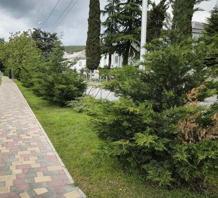 Мы неоднократно рассказывали вам о компенсационных высадках Мы неоднократно рассказывали вам о компенсационных высадках