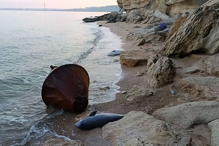 В Керченском проливе из-за атак ВСУ погибло от 1 до 3 тысяч азовок