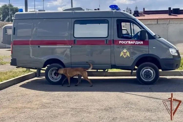 Кинологи Росгвардии из Крыма Заняли призовые места на окружных соревнованиях Кинологи Росгвардии из Крыма Заняли призовые места на окружных соревнованиях