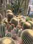 � �� �����, ��� ���������� ��������� ���������� ������������� ���� � ���� �� ���������� � ������?