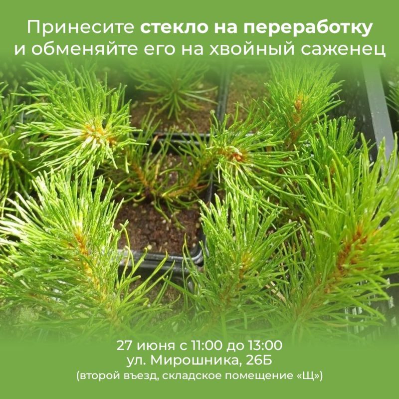 Керчан приглашают избавиться от ненужного стекла и сделать город зеленее