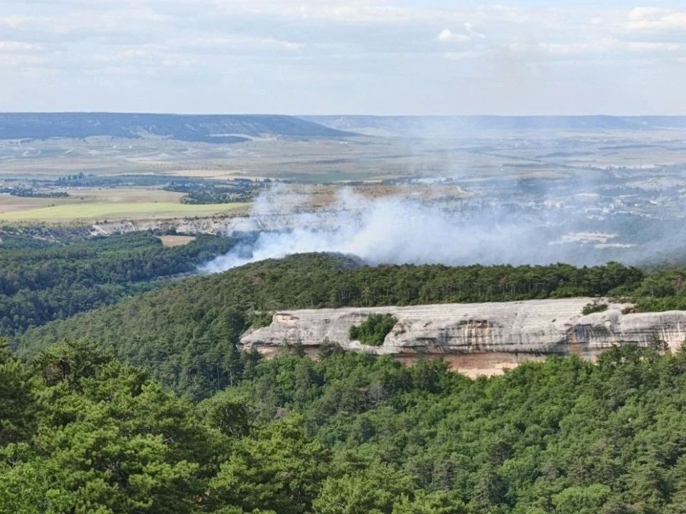 В Бахчисарайском районе произошёл лесной пожар