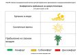 19.06.2026 �. �� 12:00 ������������ ���������� �� ������������� �������, �� ������ ���� �� ���� �����л, ����������: