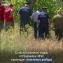 Лето — пора пикников и ароматных шашлыков