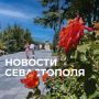 Михаил Развожаев: Коротко о главном:. Наши военные, силы ПВО и мобильные огневые группы отразили атаки ВСУ