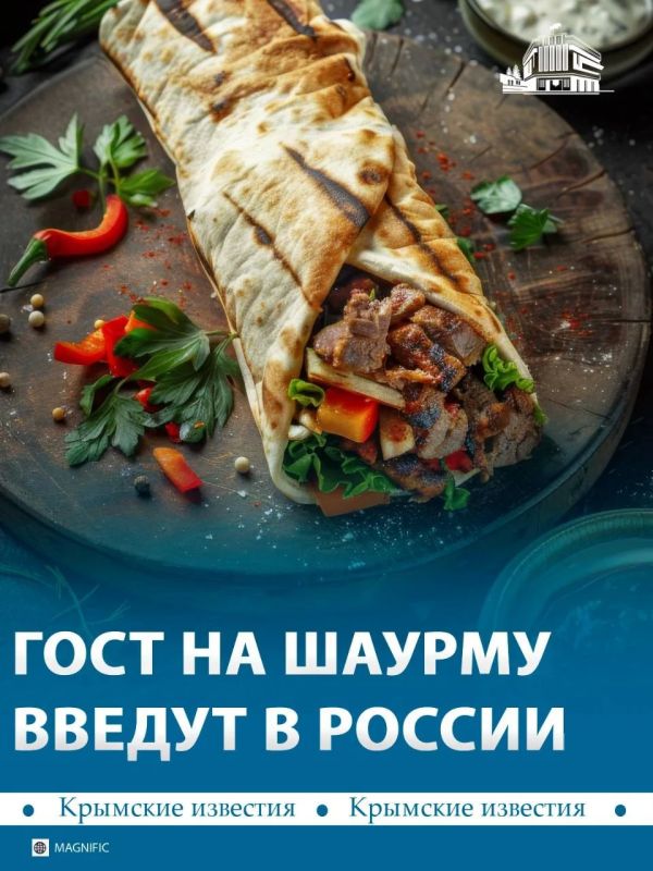 Единый ГОСТ на шаурму появится в России до конца года